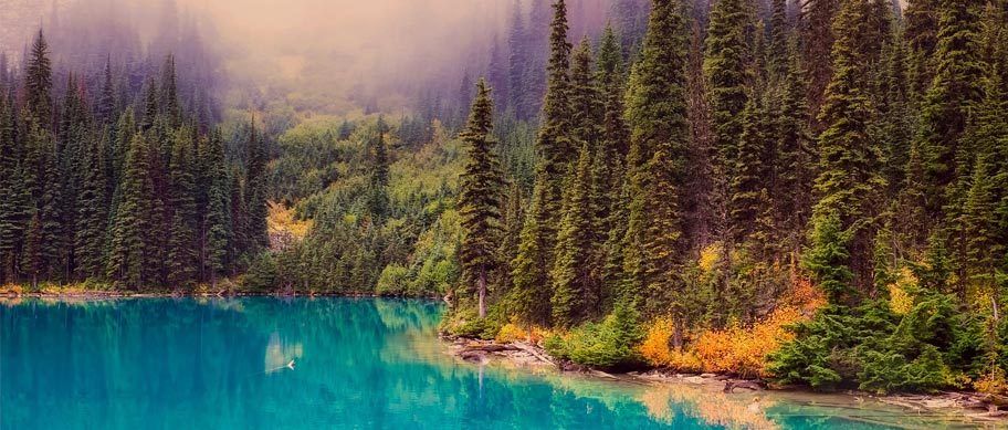 Wälder und Seen in Kanada